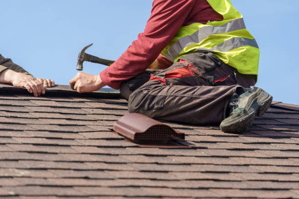 Best Roof Gutter Cleaning  in North Puyallup, WA